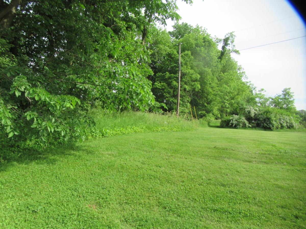 MLS #26006683 image #0