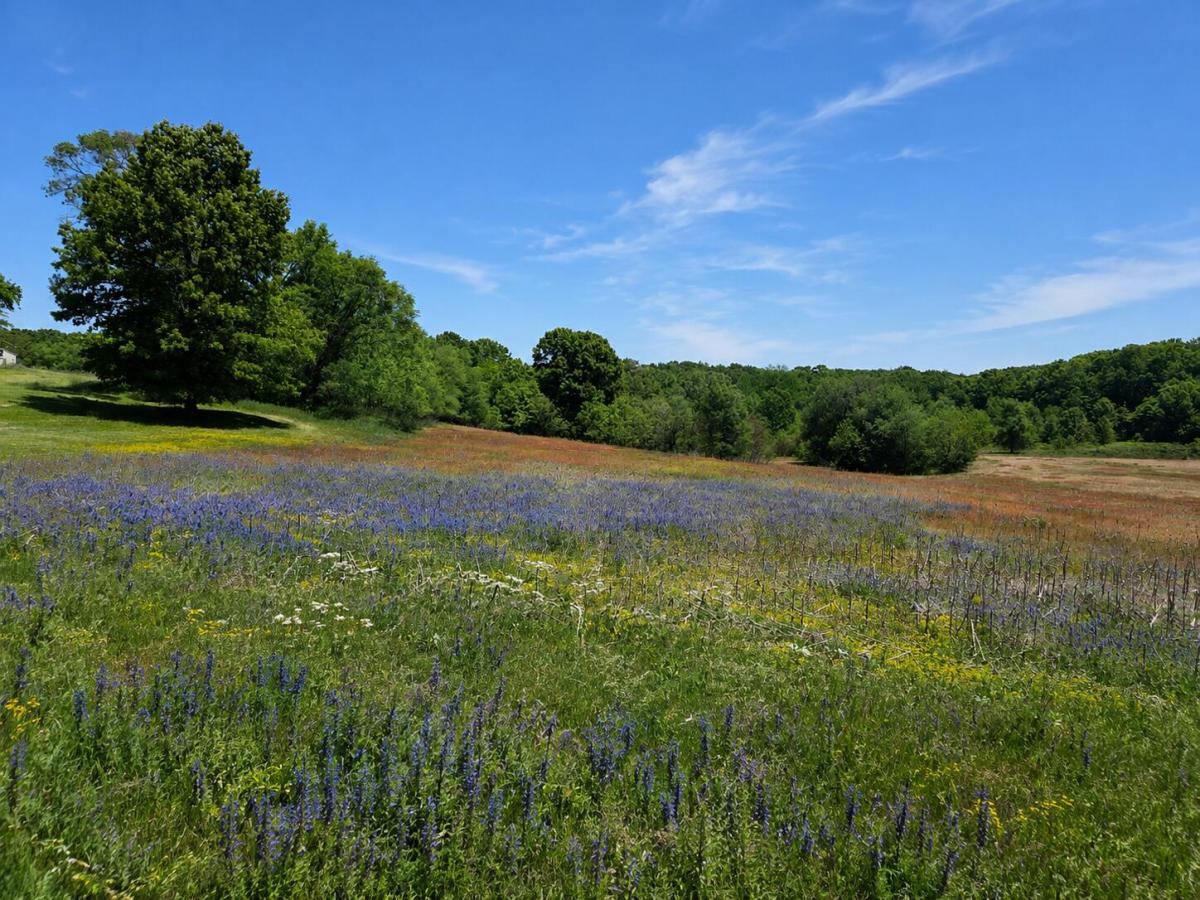MLS #26027048 image #0