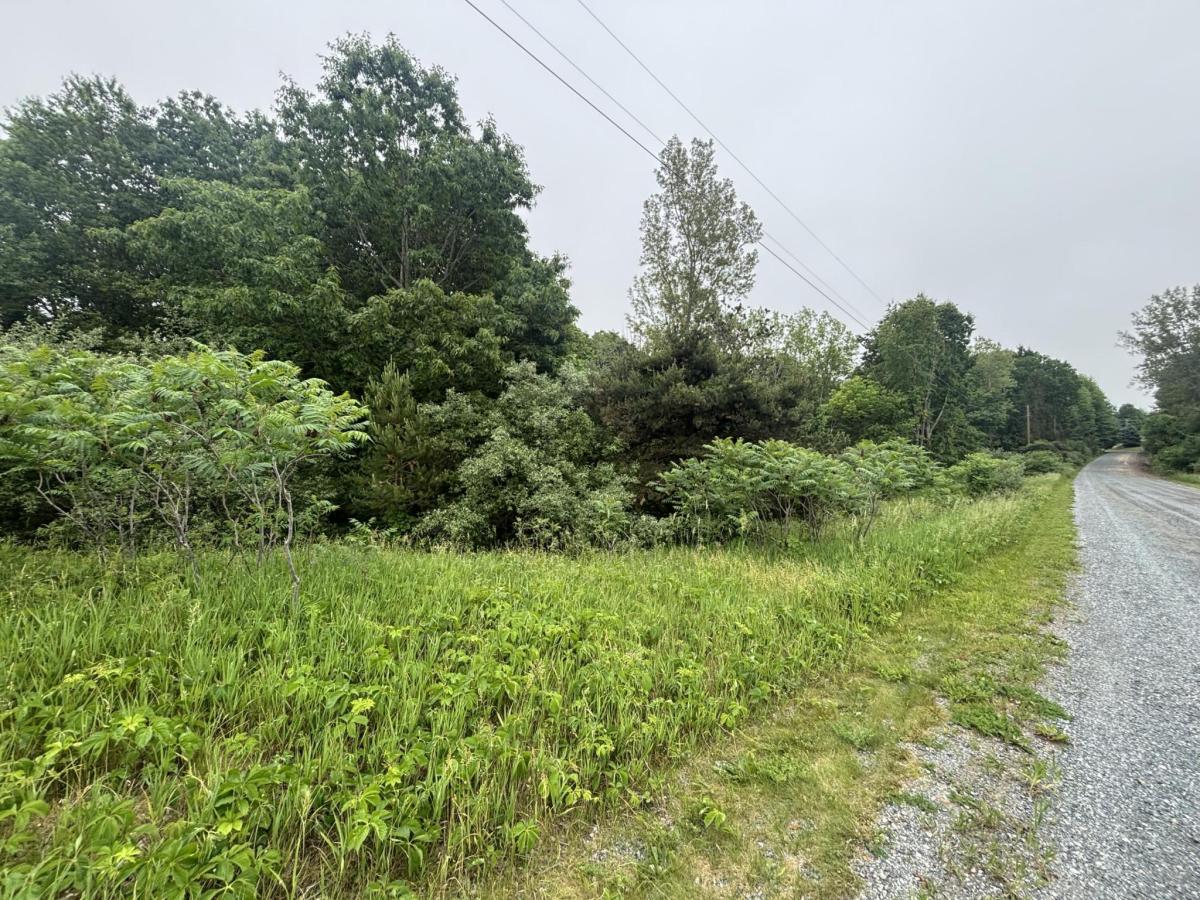 MLS #26029743 image #0