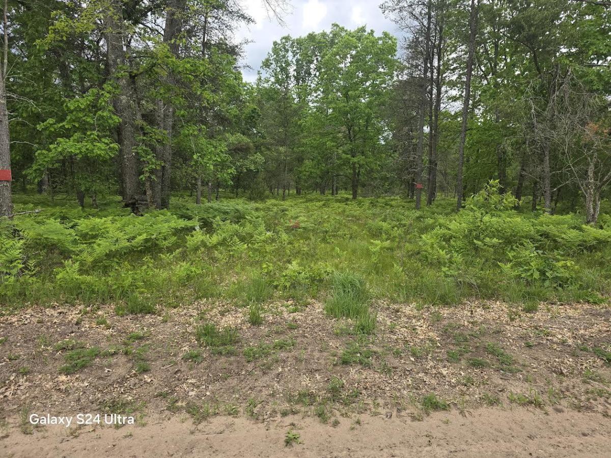 MLS #26029929 image #0