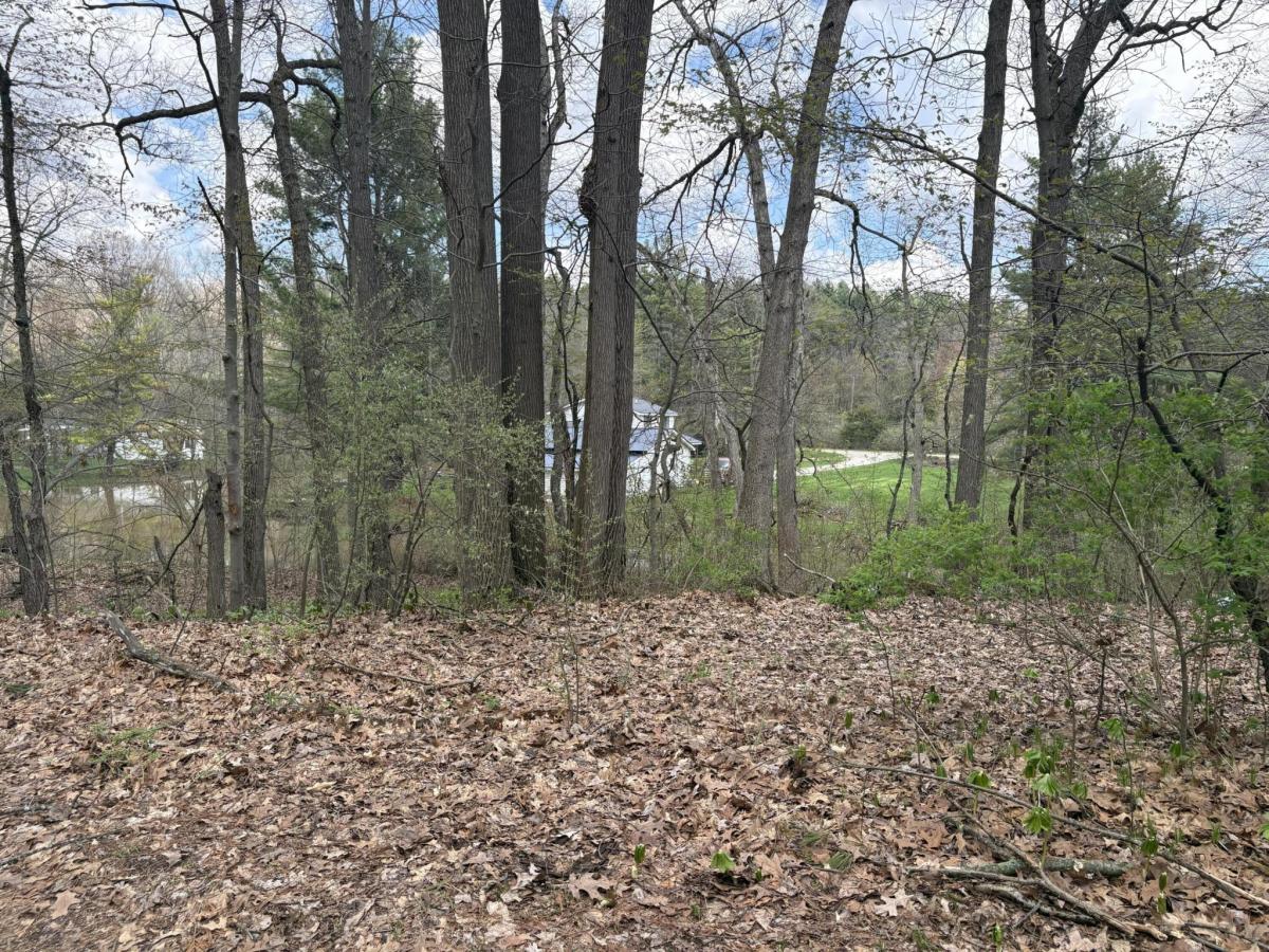 MLS #26031977 image #0