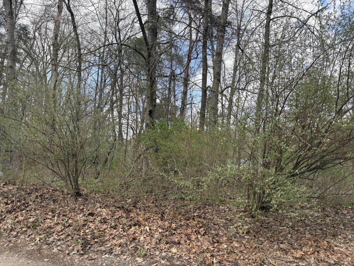 MLS #26031978 image #0