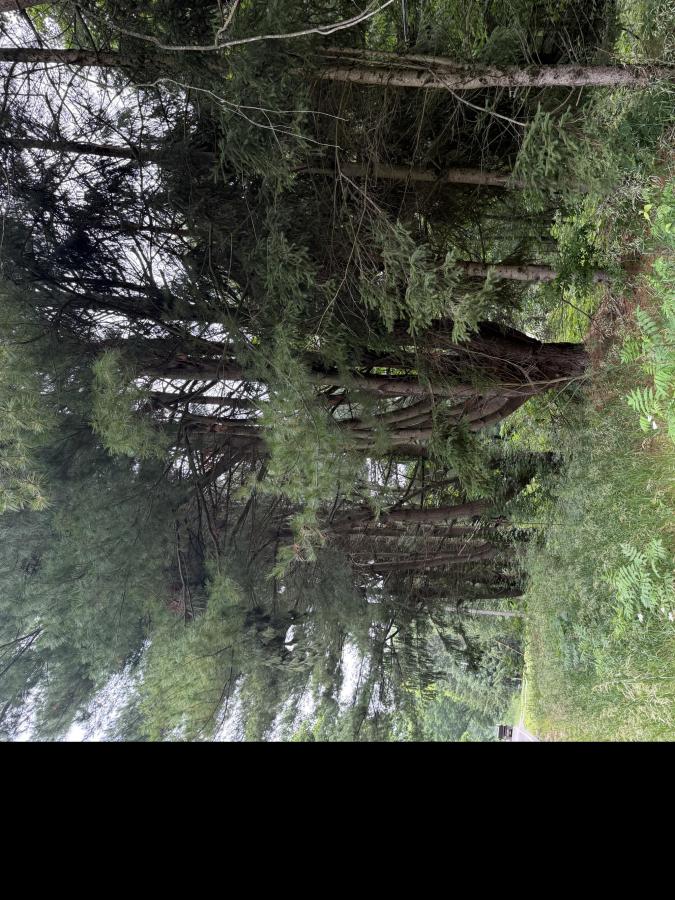 MLS #26032375 image #0
