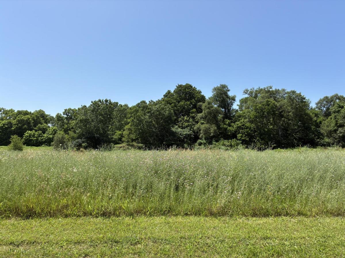 MLS #26033061 image #0