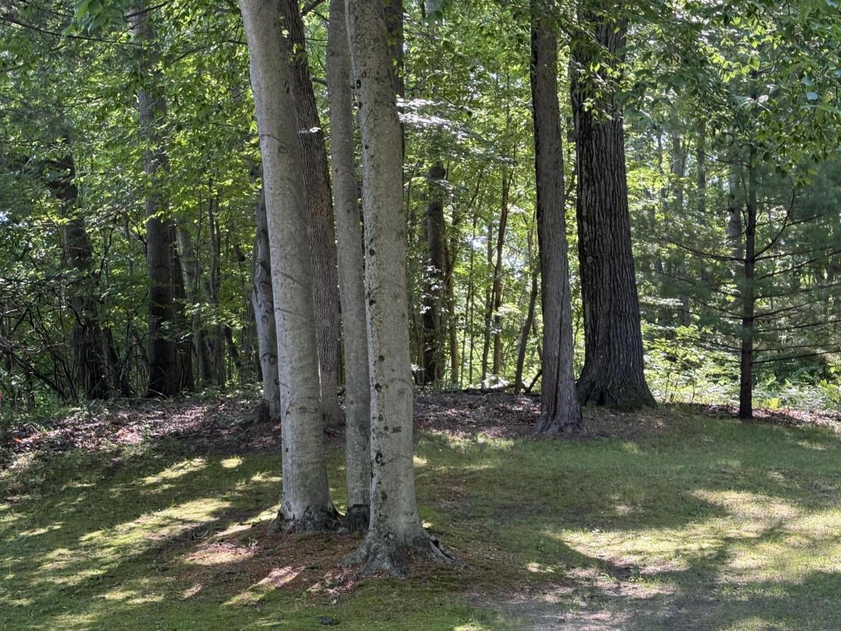 MLS #26035460 image #0