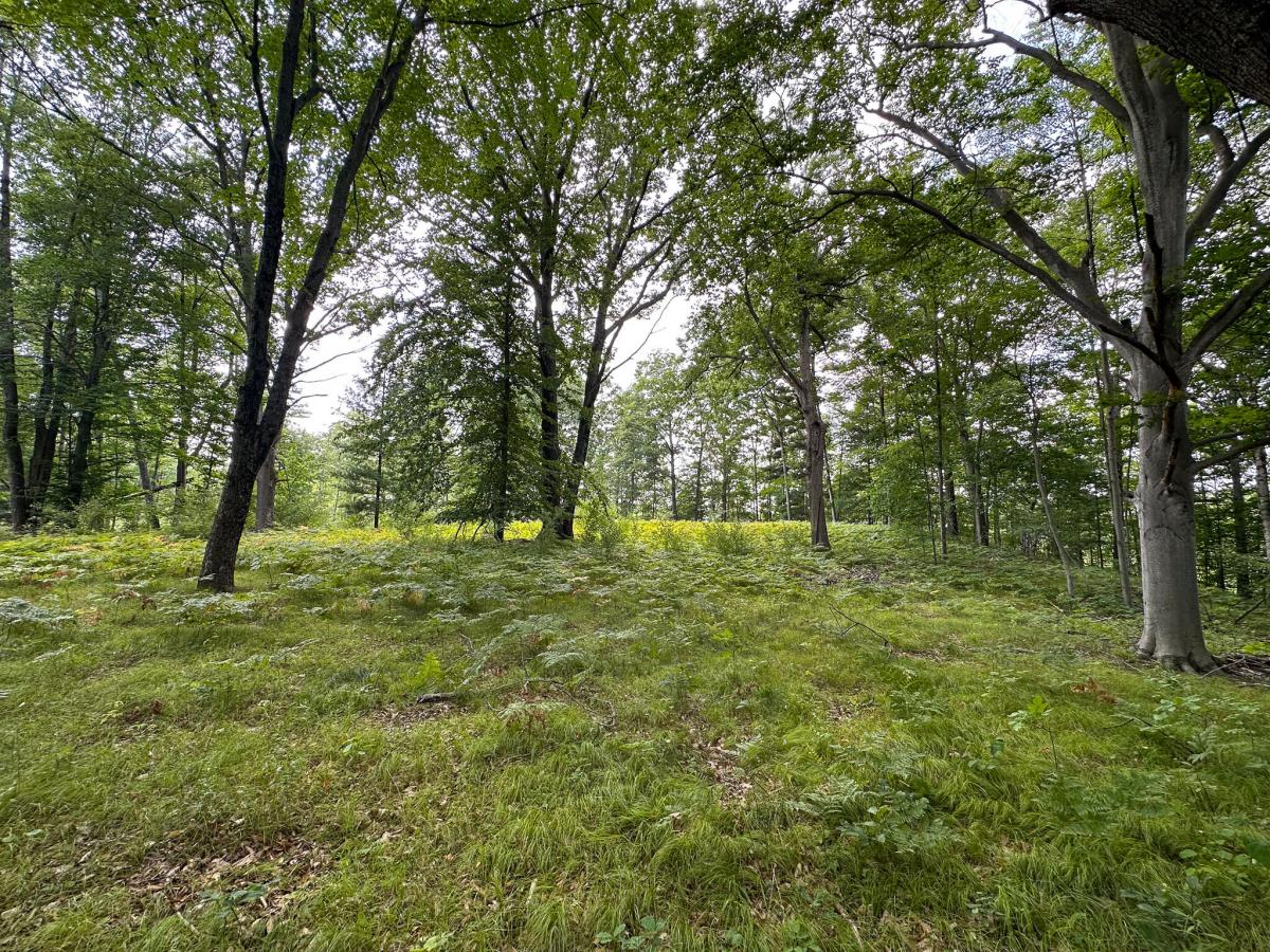 MLS #26035930 image #0