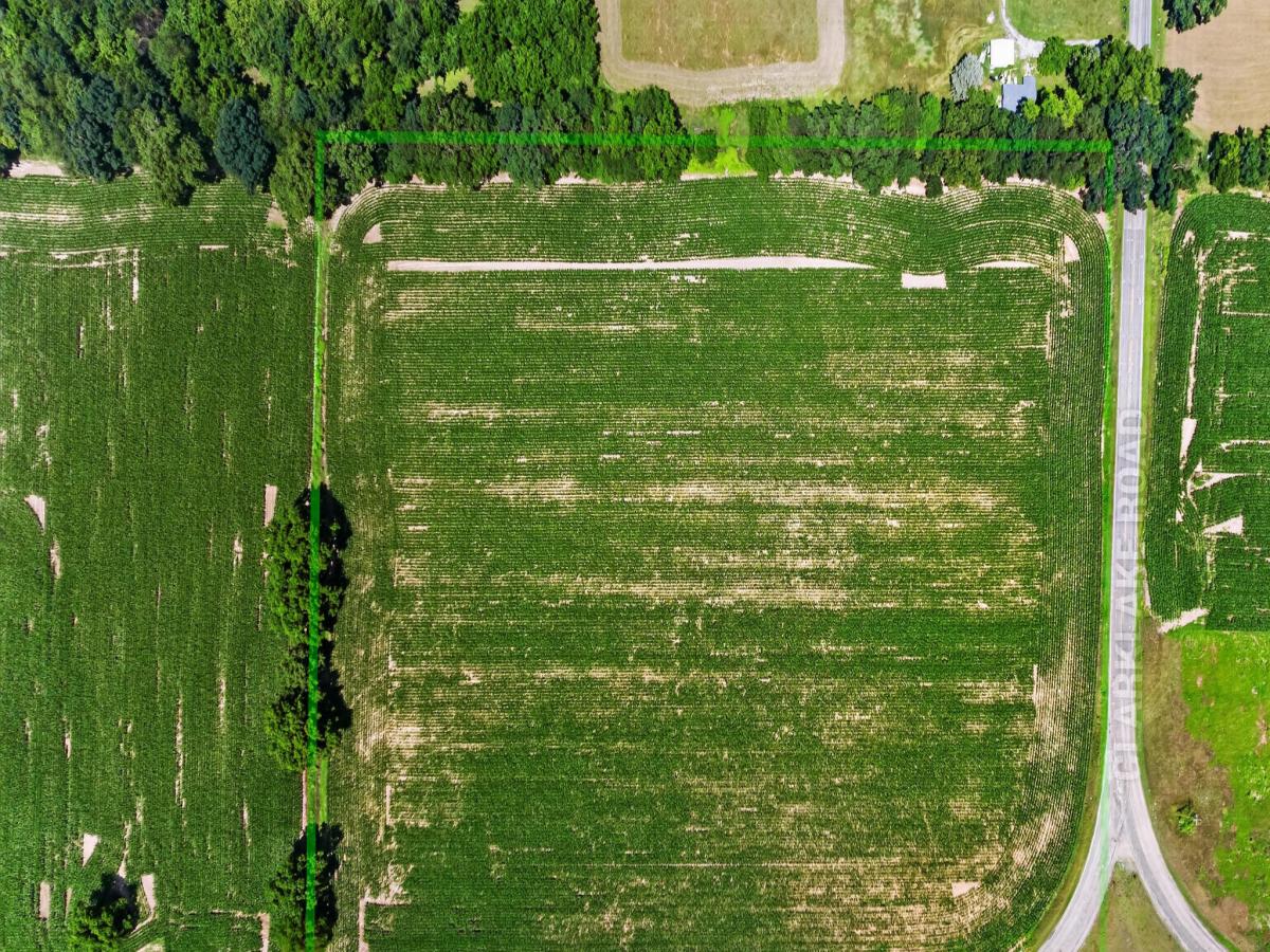 MLS #26036018 image #0