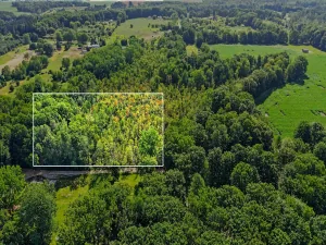 broker reciprocity