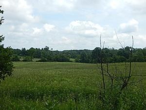 MLS #26037393 image #0