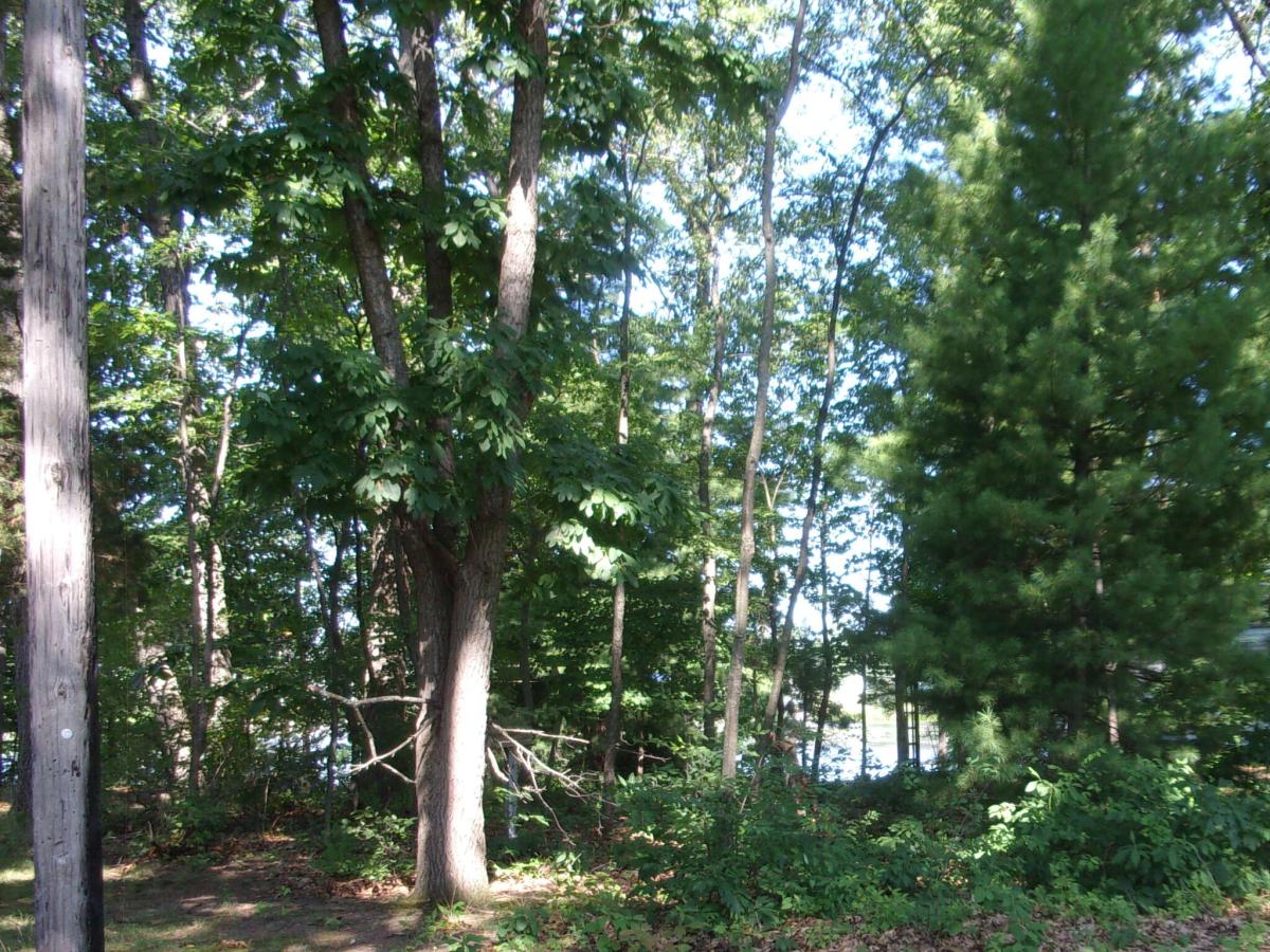 MLS #26039177 image #0