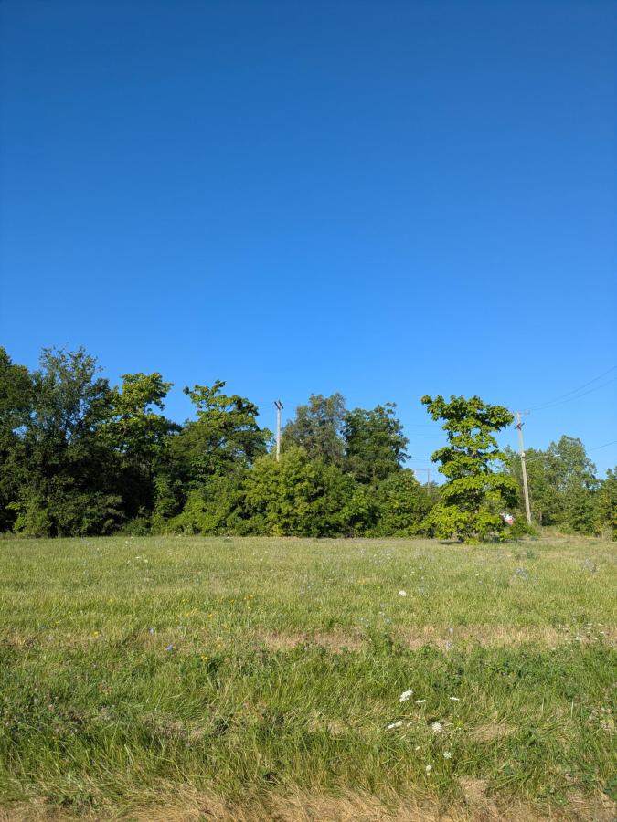 MLS #26039507 image #0