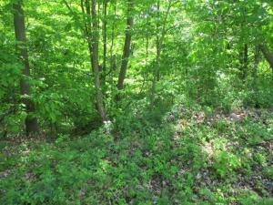 MLS #26039703 image #0