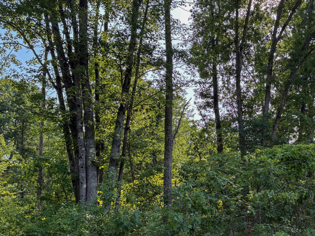 MLS #26042208 image #0