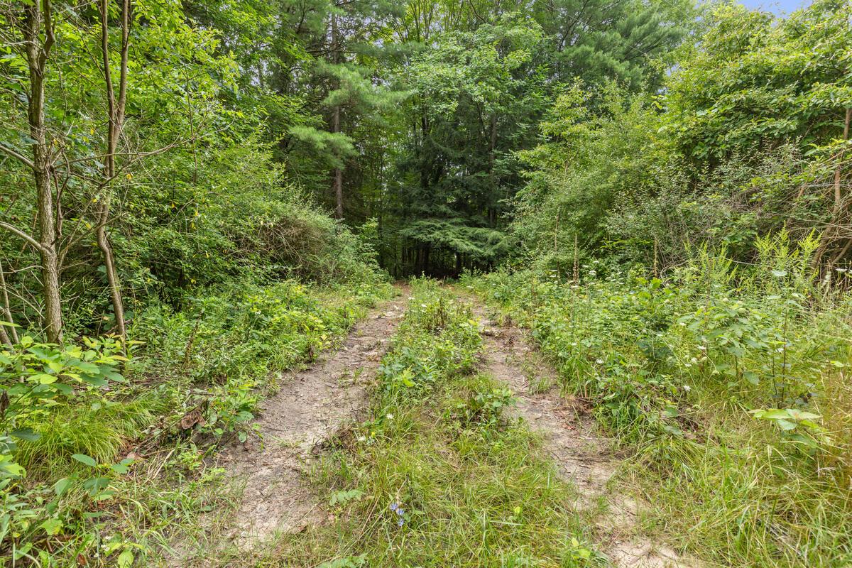 MLS #26042474 image #0