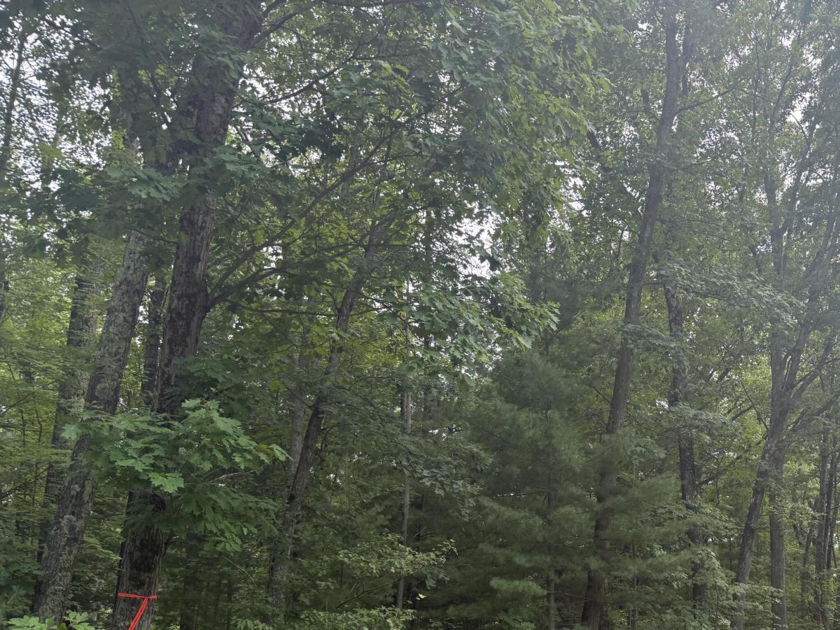 MLS #26042592 image #0