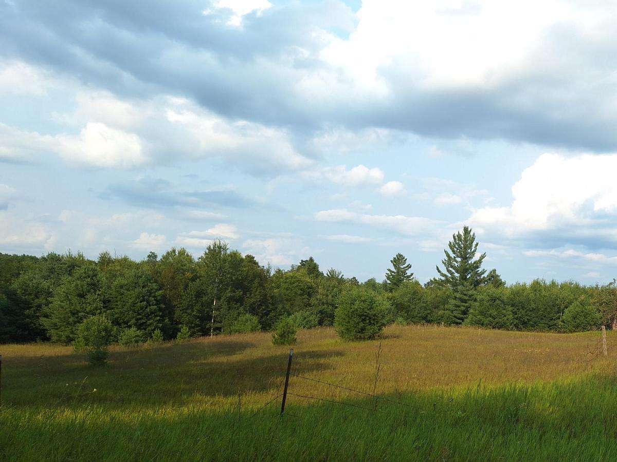 MLS #26042984 image #0