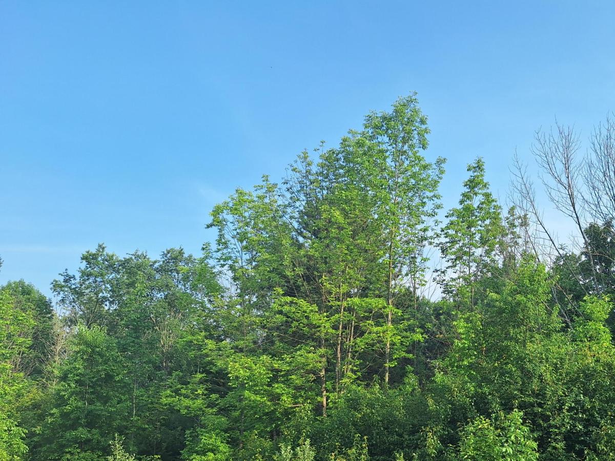 MLS #26043049 image #0