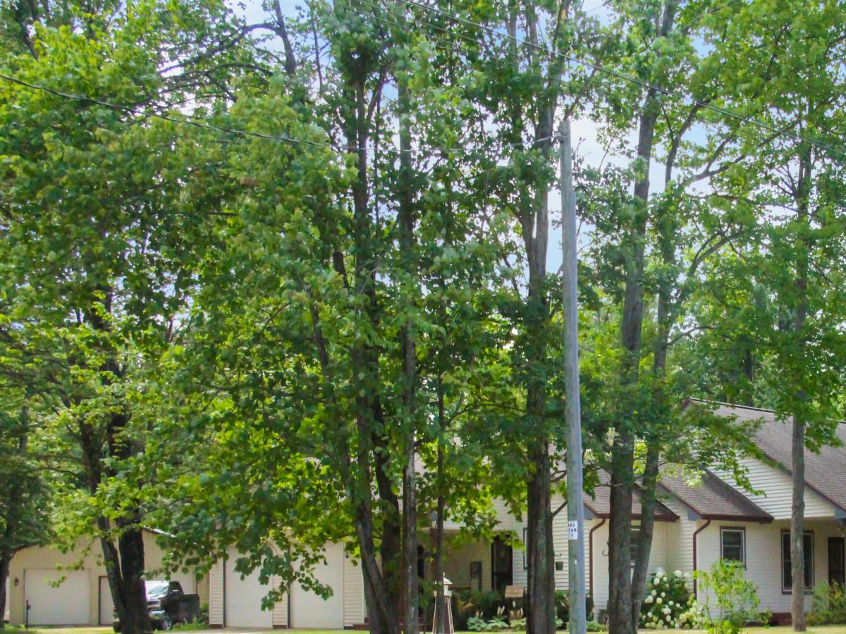 MLS #26043246 image #0