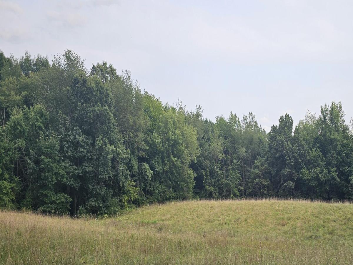 MLS #26044246 image #0