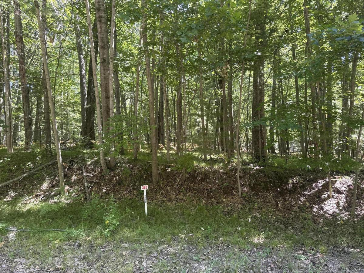 MLS #26045264 image #0