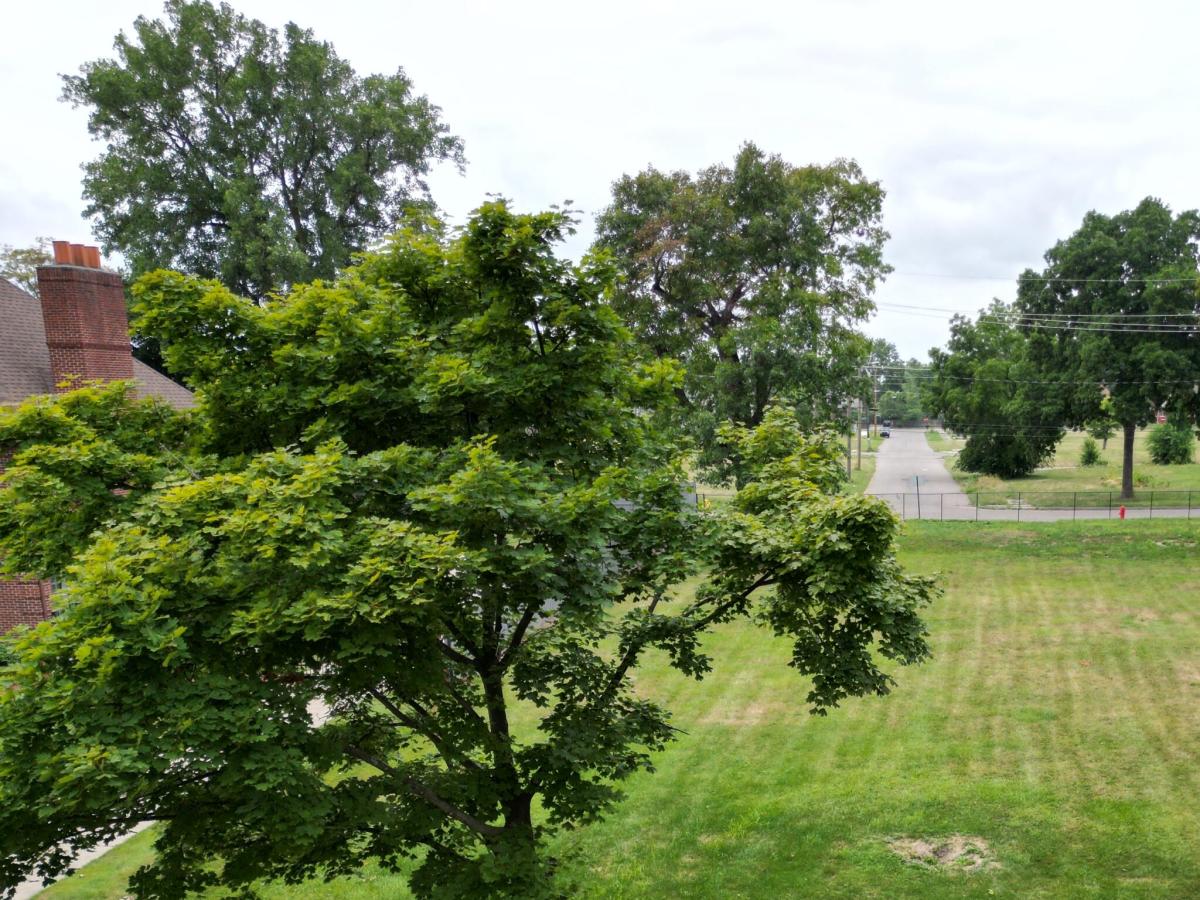 MLS #26046065 image #0