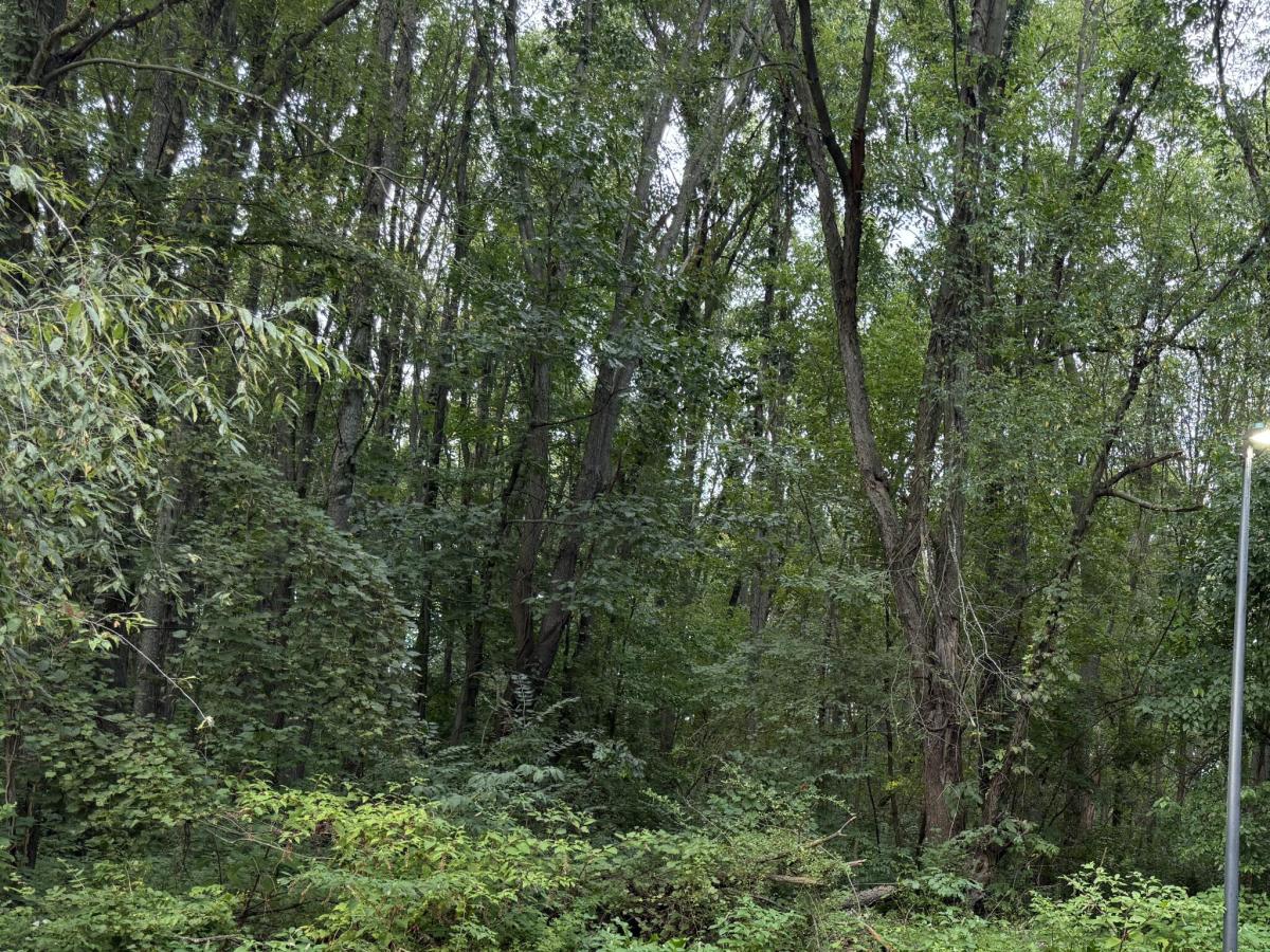 MLS #26046524 image #0