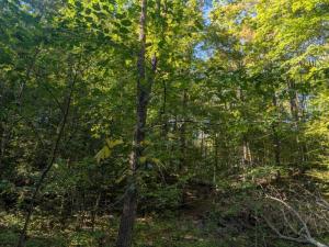MLS #26051635 image #0