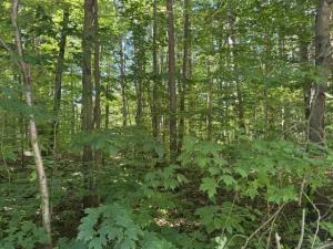 MLS #26051745 image #0