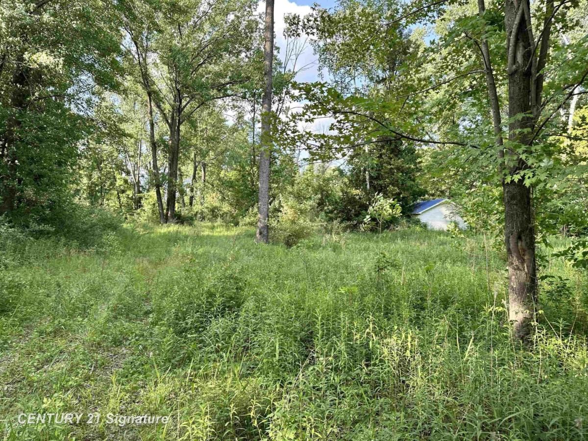 MLS #50181601 image #0