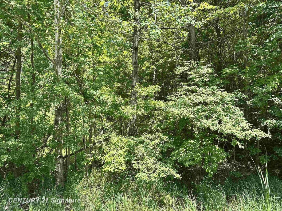 MLS #50181602 image #0