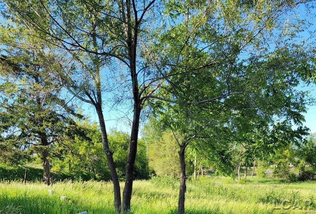 MLS #50189891 image #0