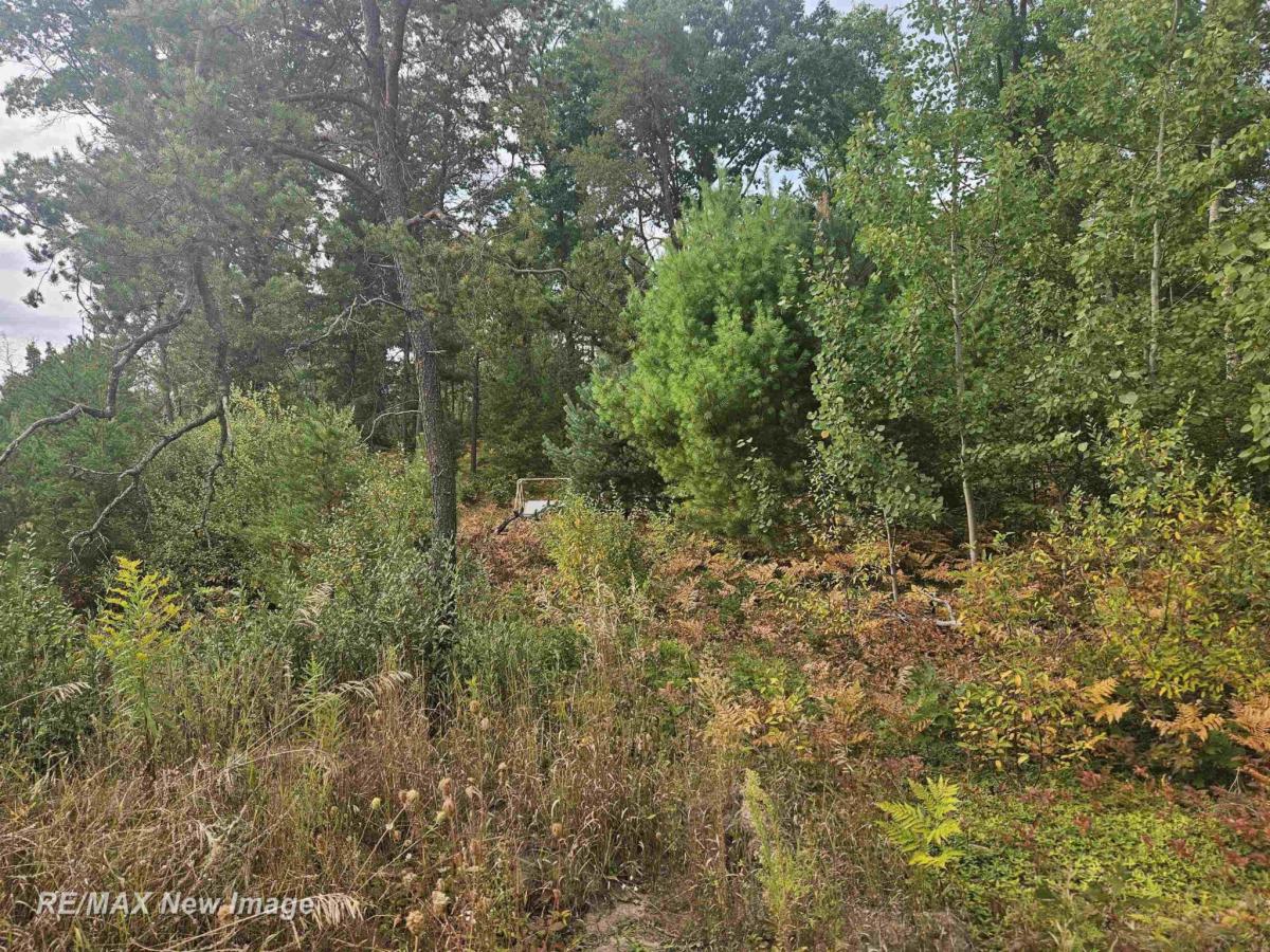MLS #50189909 image #0
