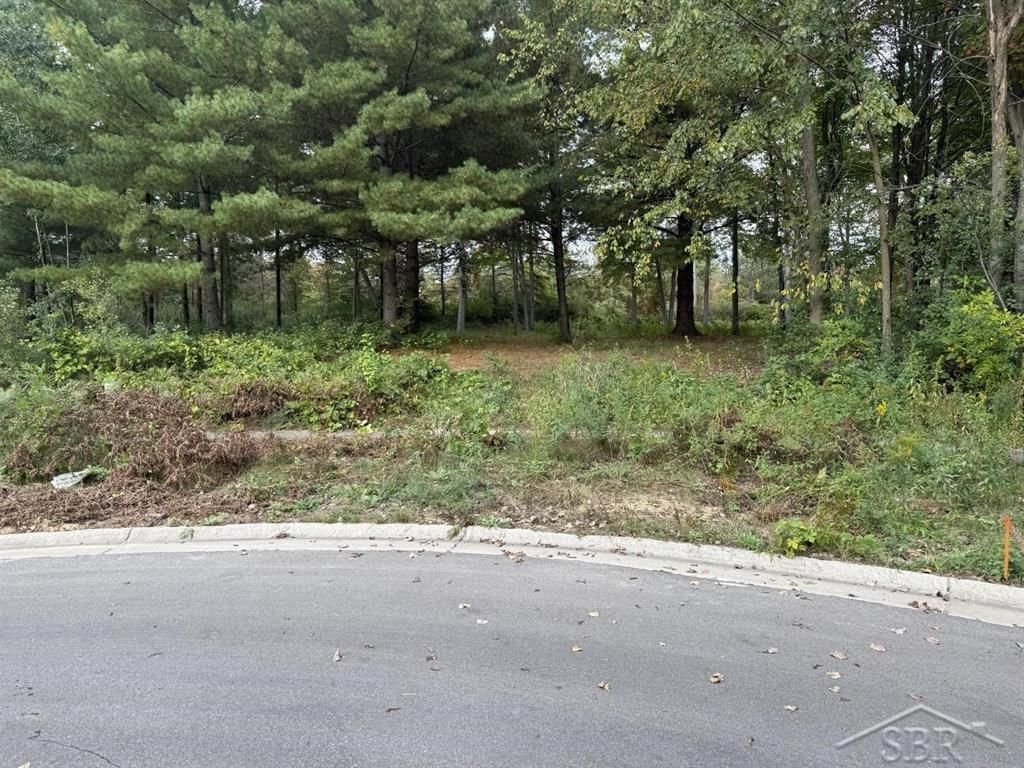 MLS #50189949 image #0