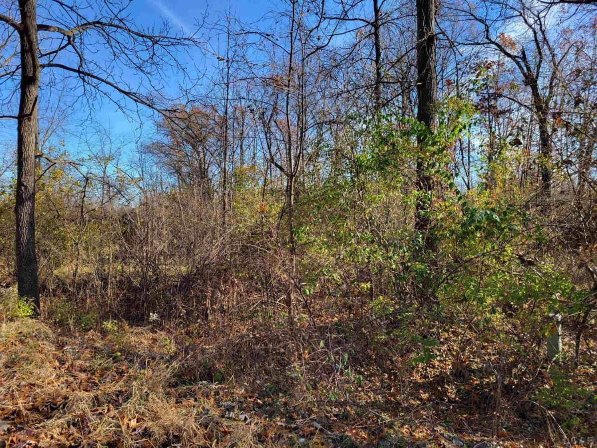 MLS #50194429 image #0