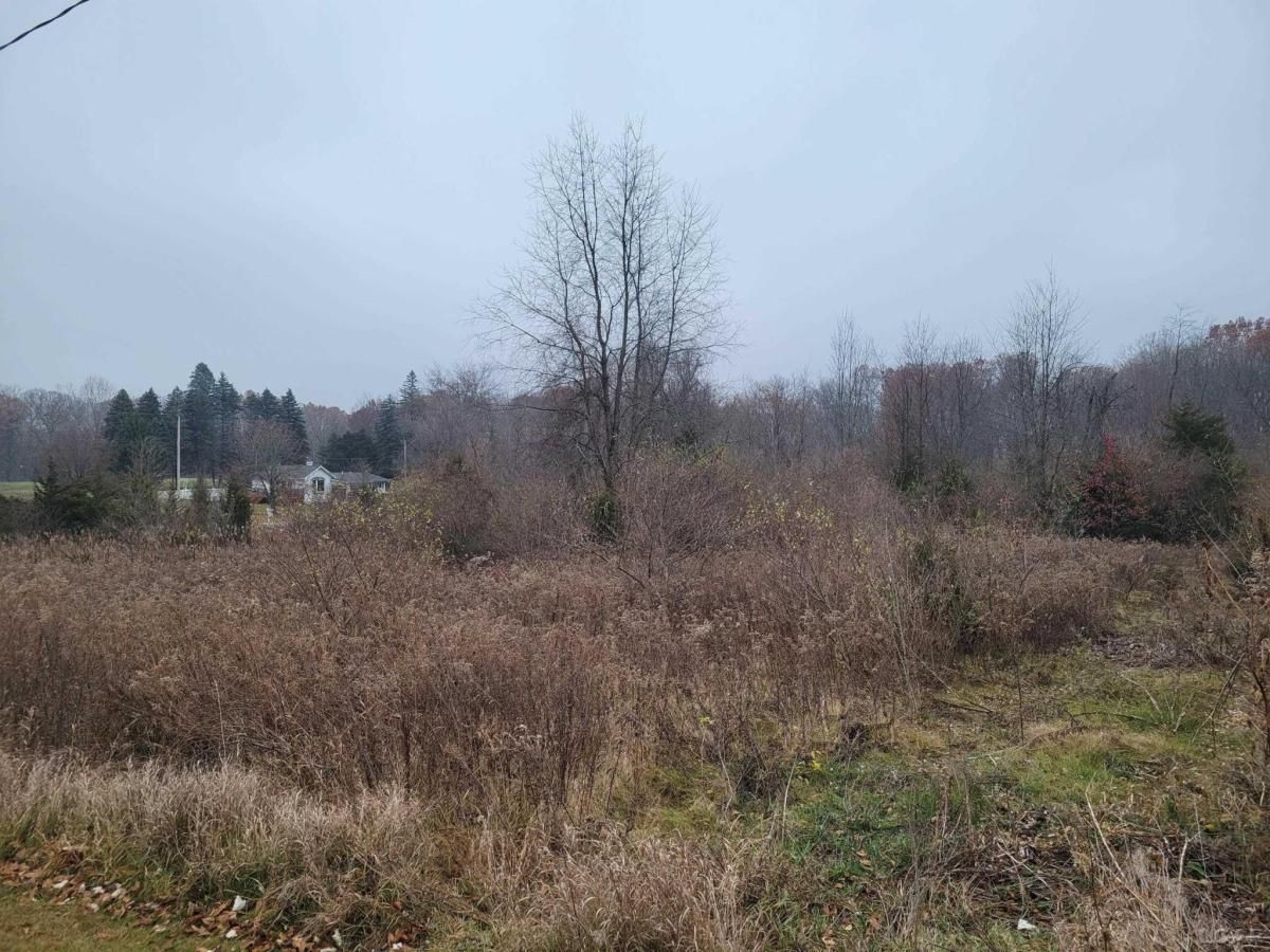 MLS #50194806 image #0