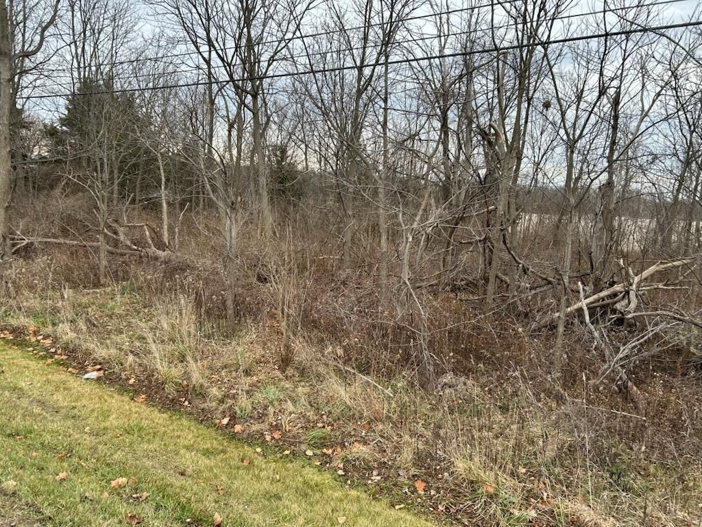 MLS #50195119 image #0
