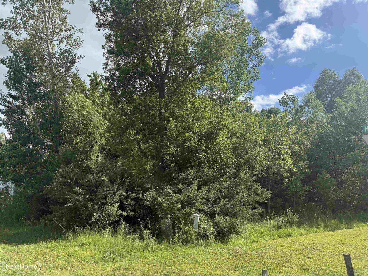 MLS #50211986 image #0
