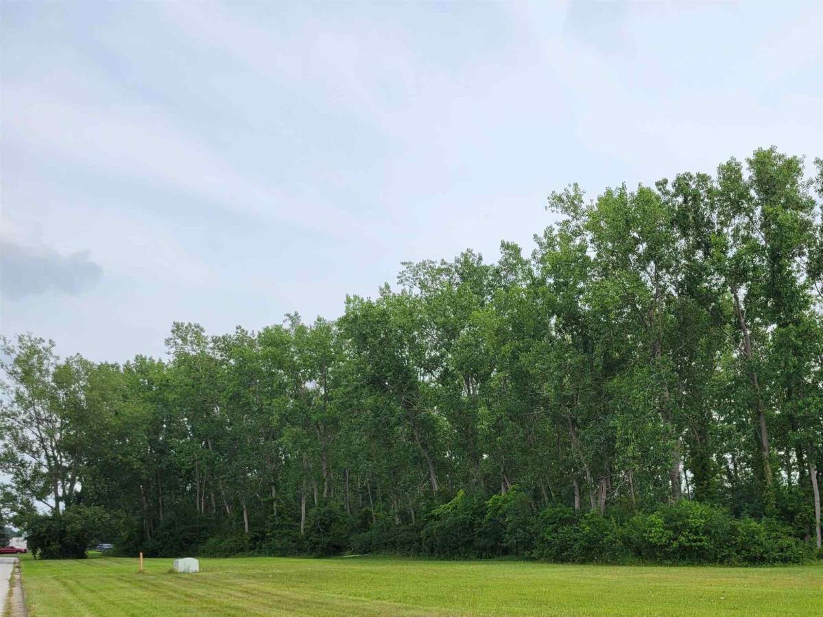 MLS #50217845 image #0