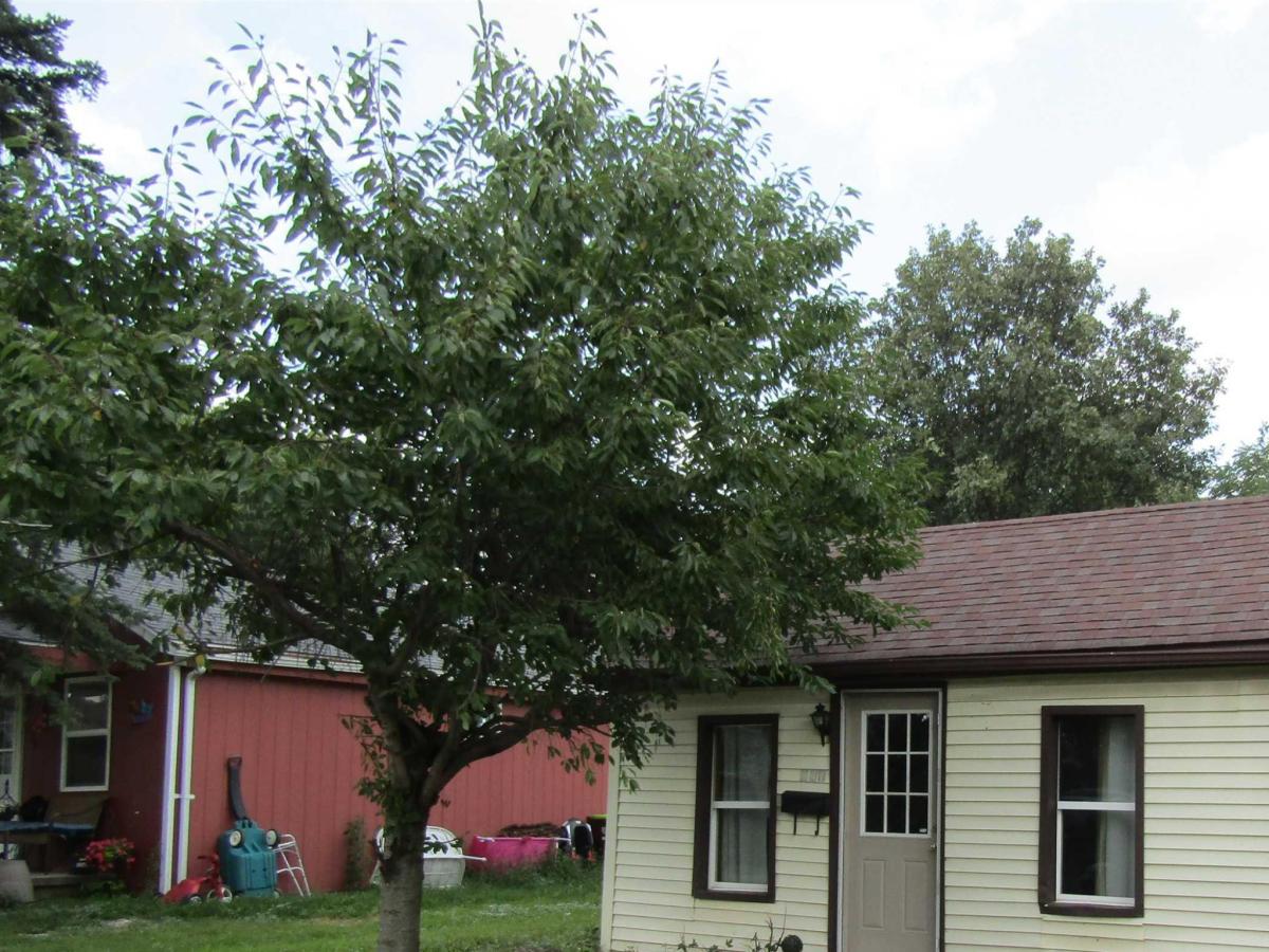 MLS #50219565 image #0