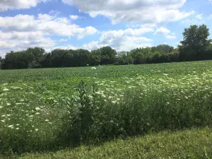 Lot 6 Ravine Road East Dundee IL 60118 MLS #MRD12487181 48 broker reciprocity