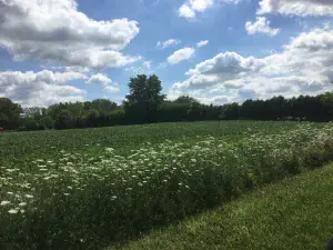 Farm Hill Drive Huntley IL 60142 MLS #MRD12040265 38 broker reciprocity