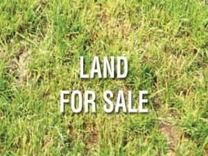 4436 Lee Avenue Downers Grove IL 60515 MLS #MRD11237988 41 MLS #MRD11237988 image #0