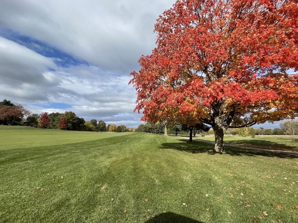 MLS #MRD11636150 image #1