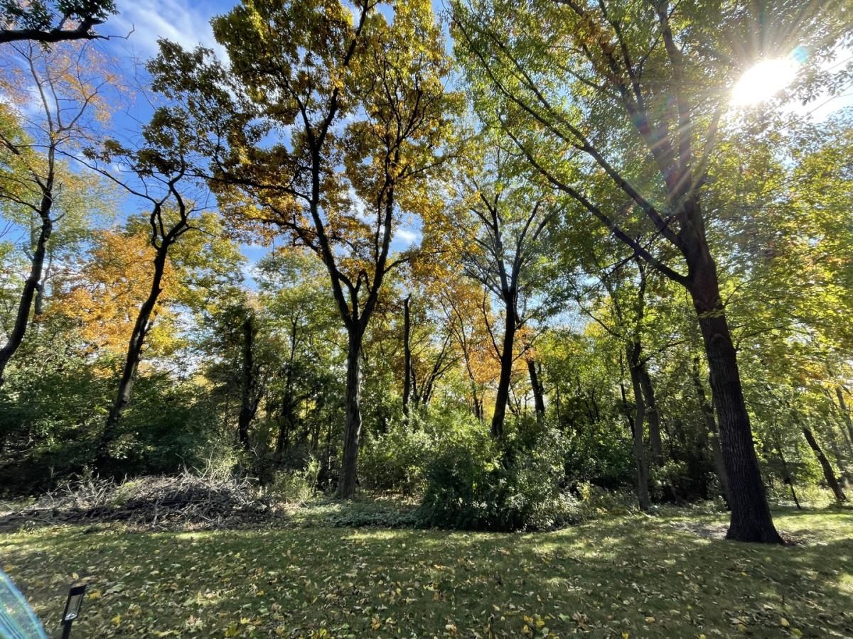26767 W Lakeview S Drive Lake Barrington IL 60010 MLS #MRD11659185 13 MLS #MRD11659185 image #0
