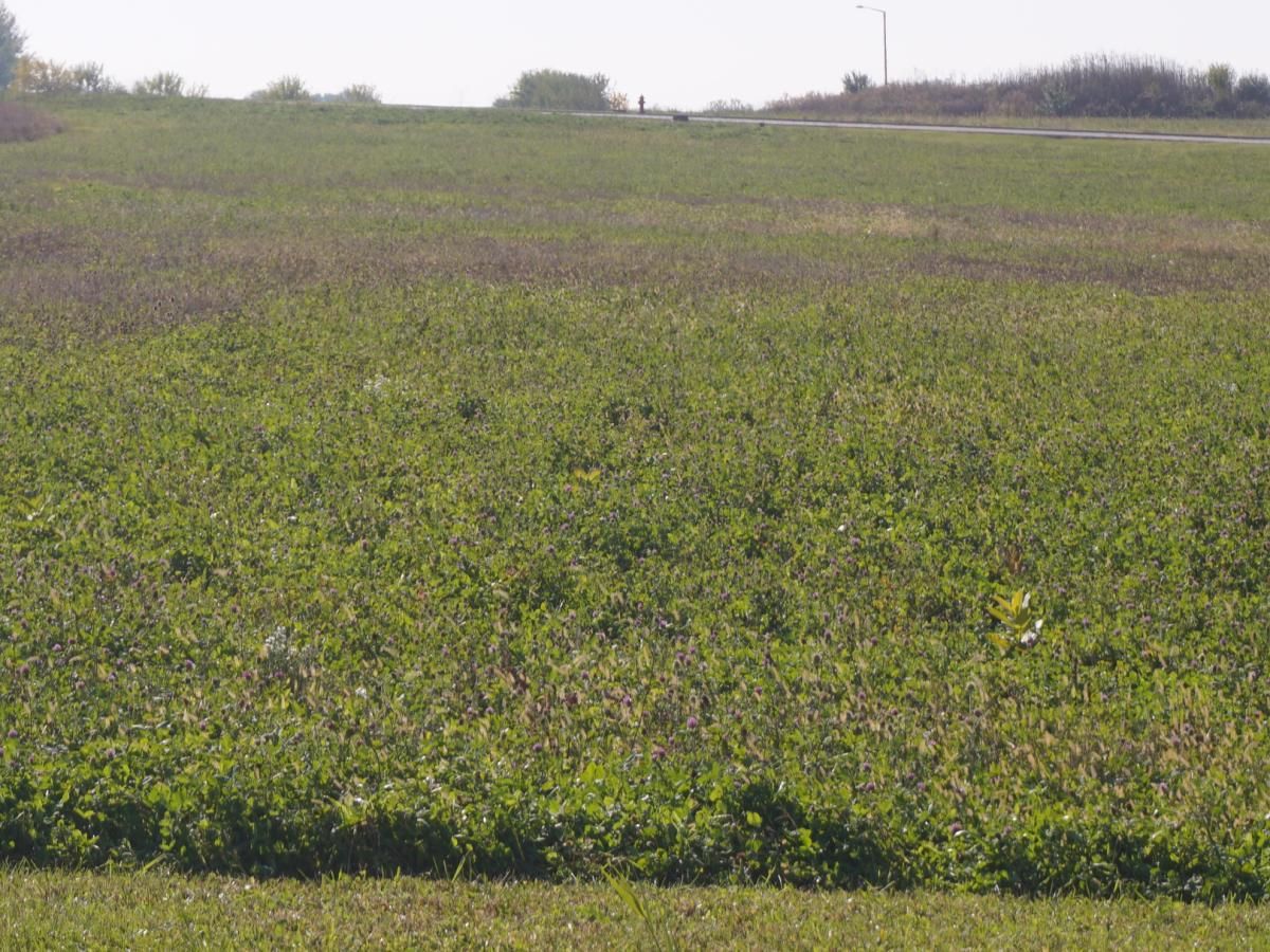 Lot5 S Rt 52 Road Manhattan IL 60442 MLS #MRD11728742 29 MLS #MRD11728742 image #0