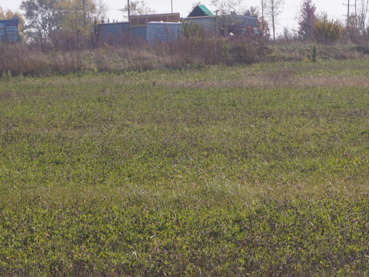 Lot2 S Arabian Avenue Manhattan IL 60442 MLS #MRD11728745 17 MLS #MRD11728745 image #0