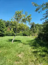 1193 Georgias Way New Lenox IL 60451 MLS #MRD12315074 44 broker reciprocity