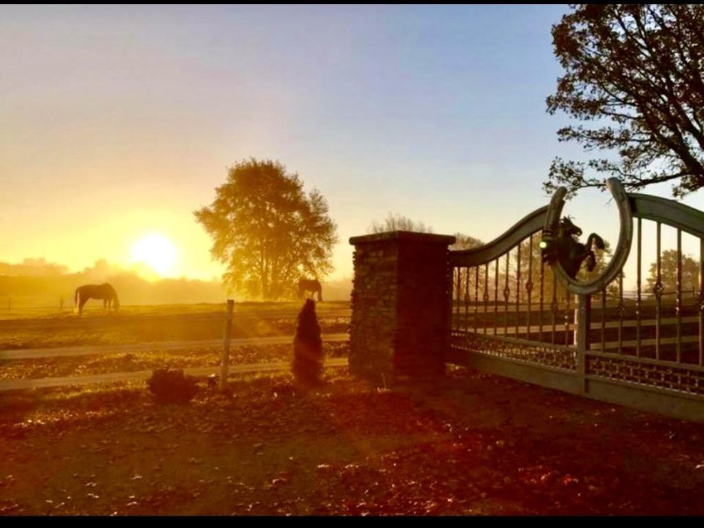 MLS #MRD11861323 image #3