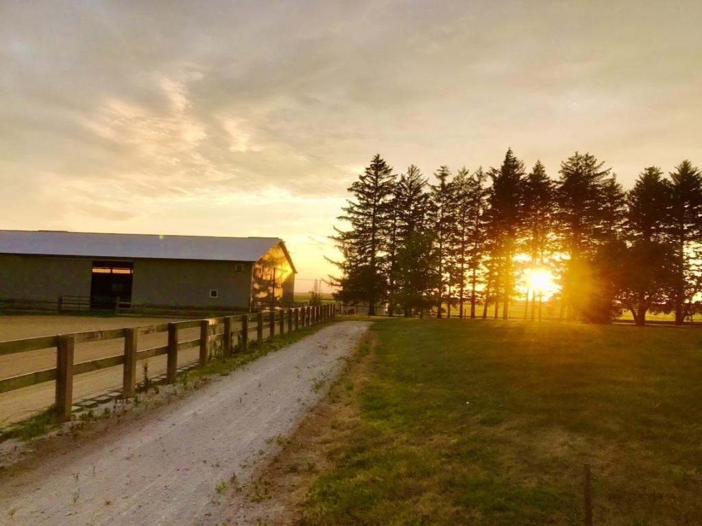 MLS #MRD11861323 image #4