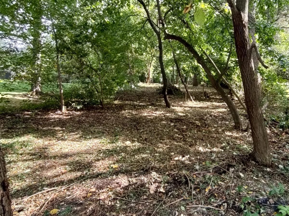 11 Rohrssen Lot 5 Road Elgin IL 60120 MLS #MRD11873808 37 MLS #MRD11873808 image #0